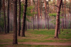 开云体育官方入口-五大联赛特定位置球员市场价值变化趋势，在五大联赛都效力过的球员