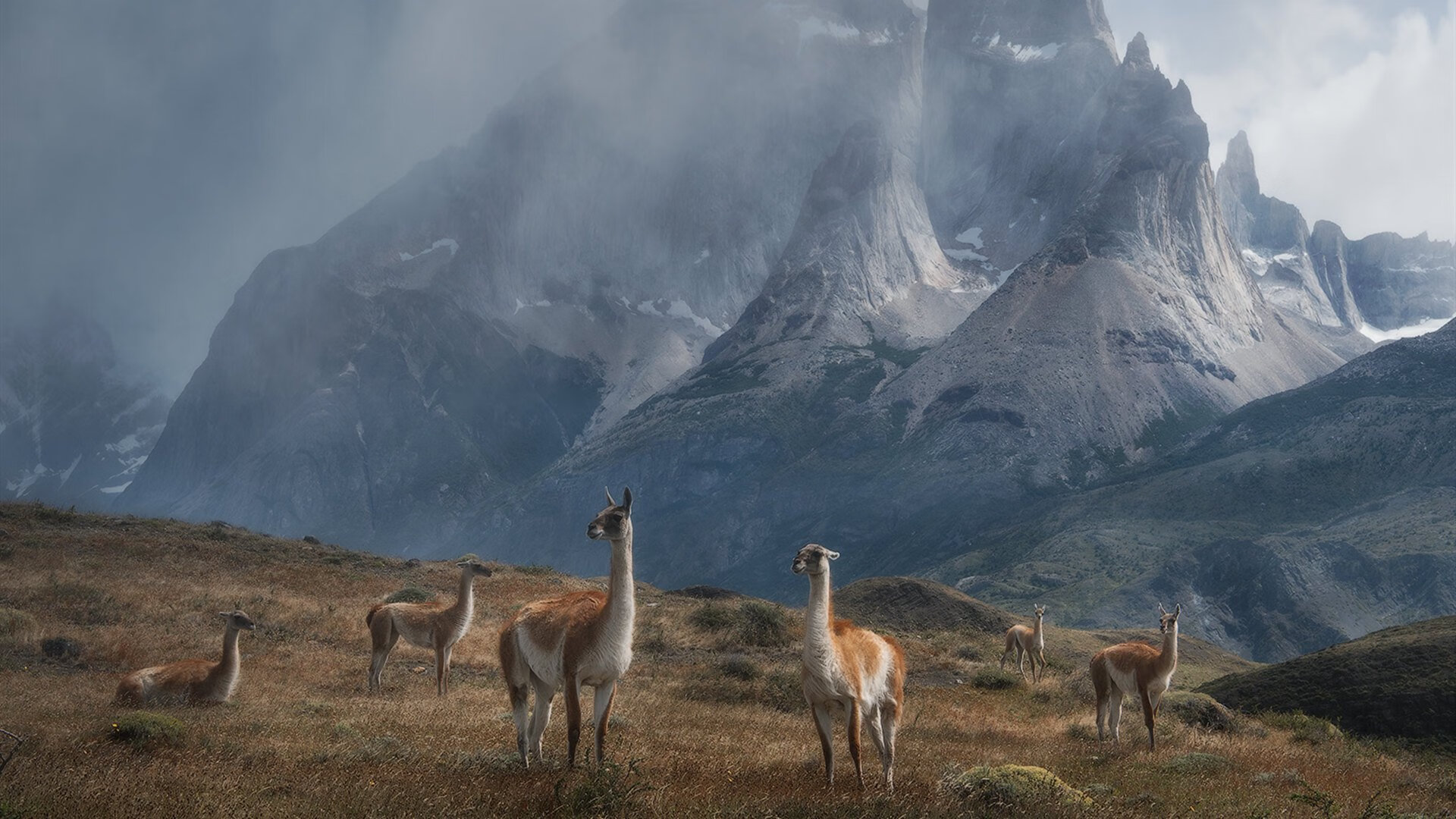中超联赛中国女足逆袭 球迷称赞团队协作，中超女足联赛排名