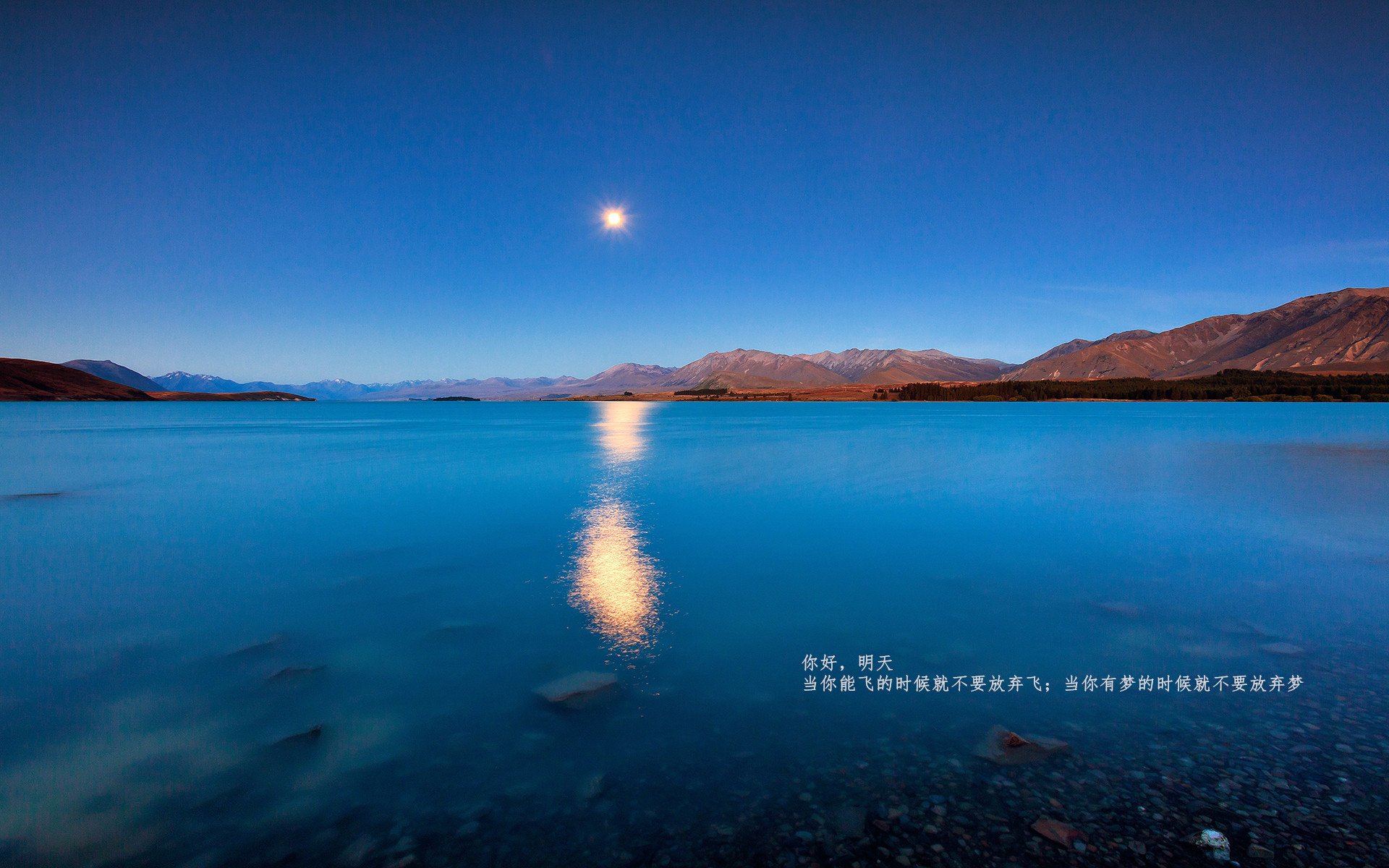 体育新闻中心主办体育文化数字传播创新研讨会,数字体育发展