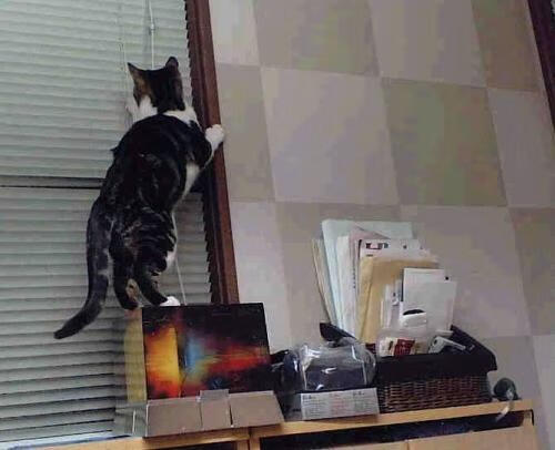 体能储备与技术表现关系探讨，体能储备一般要多久