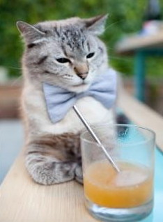 仰泳选手状态正佳助波兰夺分，仰泳高手视频欣赏